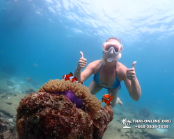 Подводная Одиссея тур Паттайя Тайланд фото 117