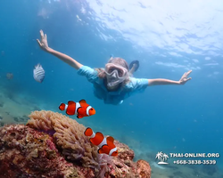 Подводная Одиссея тур Паттайя Тайланд фото 121