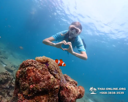 Подводная Одиссея тур Паттайя Тайланд фото 44