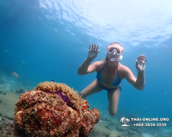 Экскурсия Подводная Одиссея в Паттайе Таиланд фото 96