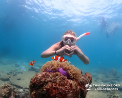 Экскурсия Подводная Одиссея в Паттайе Таиланд фото 85