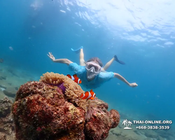 Подводная Одиссея тур Паттайя Тайланд фото 37