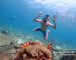 Экскурсия Подводная Одиссея в Паттайе Таиланд фото 98