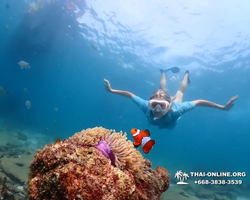 Экскурсия Подводная Одиссея в Паттайе Таиланд фото 75
