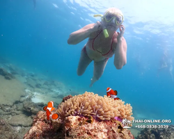 Экскурсия Подводная Одиссея в Паттайе Таиланд фото 57