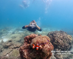 Подводная Одиссея тур Паттайя Тайланд фото 12