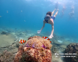 Подводная Одиссея тур Паттайя Тайланд фото 29