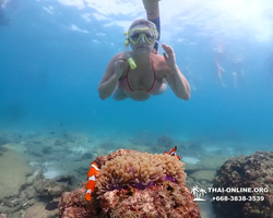 Экскурсия Подводная Одиссея в Паттайе Таиланд фото 99