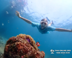 Подводная Одиссея тур Паттайя Тайланд фото 125