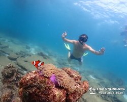 Подводная Одиссея тур Паттайя Тайланд фото 36