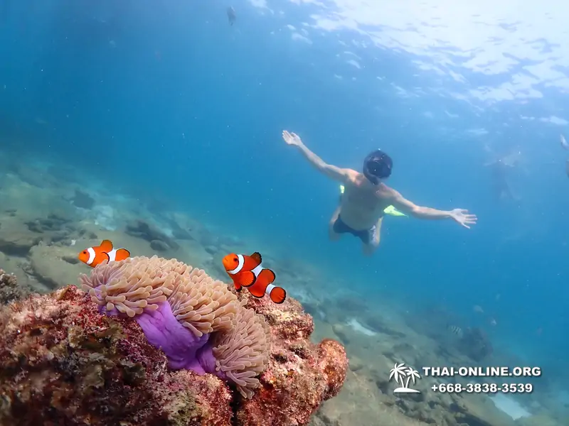 Подводная Одиссея тур Паттайя Тайланд фото 26