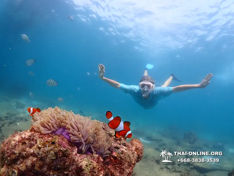 Подводная Одиссея тур Паттайя Тайланд фото 18