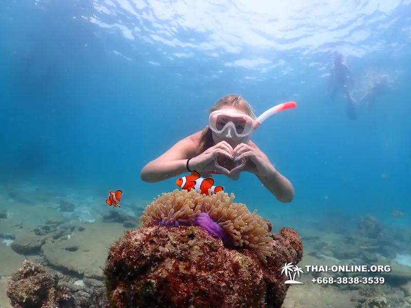 Подводная Одиссея тур Паттайя Тайланд фото 27