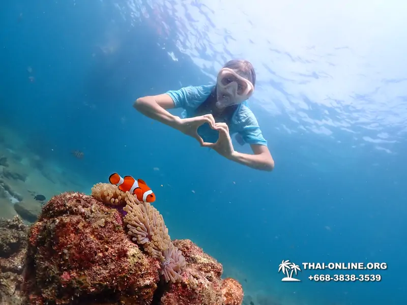 Подводная Одиссея тур Паттайя Тайланд фото 22