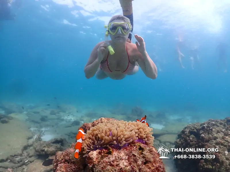 Подводная Одиссея тур Паттайя Тайланд фото 14