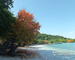 Изумрудный Остров экскурсия в Паттайе Тайланде - фото 135