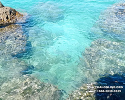 Изумрудный Остров морская экскурсия в Таиланде Паттайя - фото 44