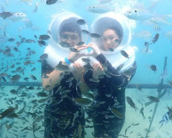 3 чудо Острова Паттайя тур на корабле в Таиланде - фото 194