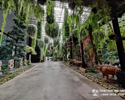 Тропический сад Нонг Нуч тур с русским гидом в Паттайе - фото 169
