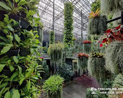 Тропический сад Нонг Нуч экскурсия в Паттайе Тайланде - фото 138