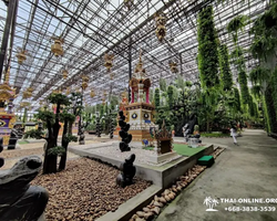 Тропический сад Нонг Нуч экскурсия в Паттайе Тайланде - фото 110