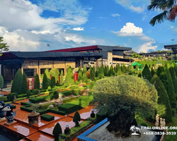 Тропический сад Нонг Нуч тур с русским гидом в Паттайе - фото 7