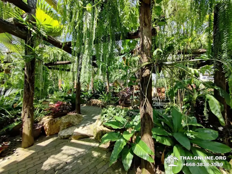 Тропический сад Нонг Нуч экскурсия в Паттайе с туркомпанией Magic Thai Online - фото 12