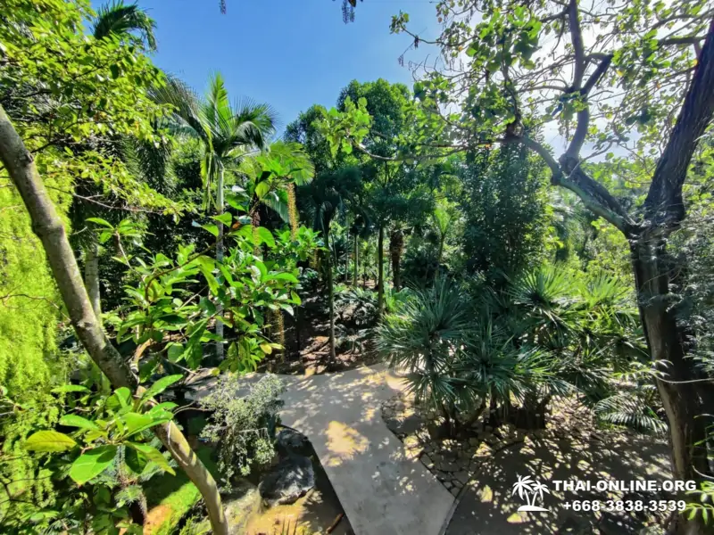 Тропический сад Нонг Нуч экскурсия в Паттайе с туркомпанией Magic Thai Online - фото 9