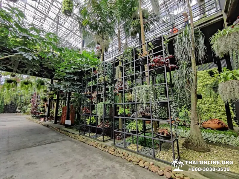 Тропический сад Нонг Нуч экскурсия в Паттайе с туркомпанией Magic Thai Online - фото 7