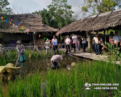 Pattaya Floating Market экскурсия Паттайя Таиланд фото 30
