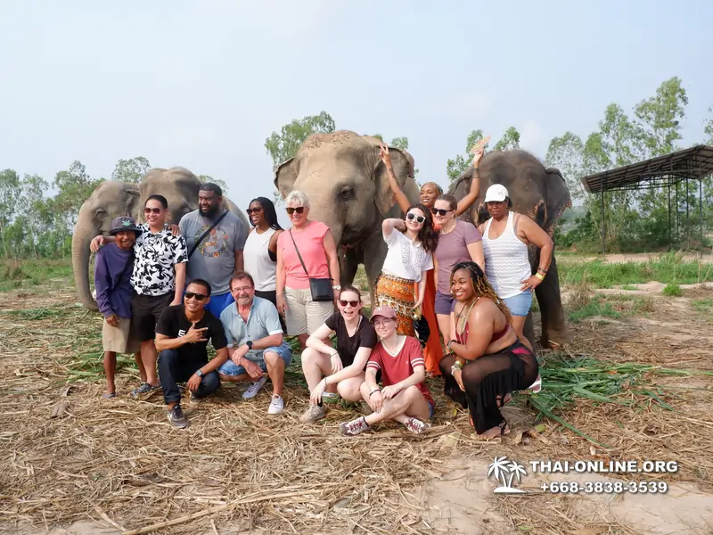 Заповедник слонов Elephant Jungle Sanctuary тур в Паттайе по цене выгоднее Klook Travel и Seven Countries - фото 11