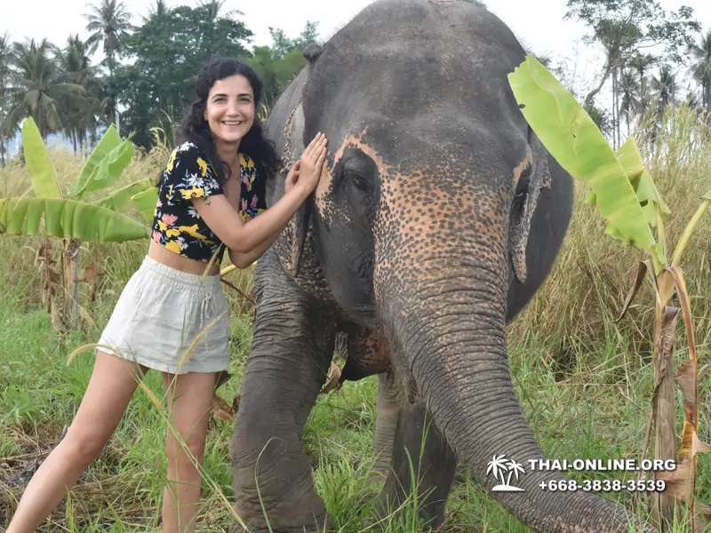 Заповедник слонов Elephant Jungle Sanctuary тур в Паттайе по цене выгоднее Klook Travel и Seven Countries - фото 30