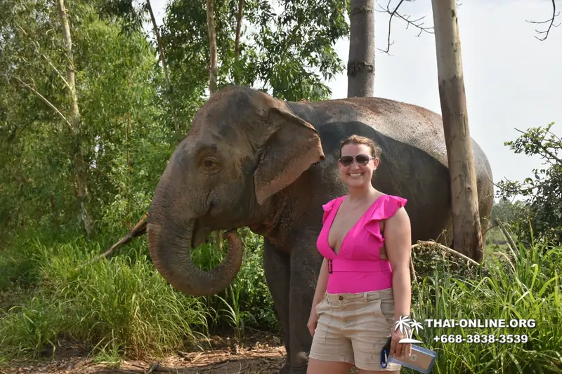 Заповедник слонов Elephant Jungle Sanctuary тур в Паттайе по цене выгоднее Klook Travel и Seven Countries - фото 8