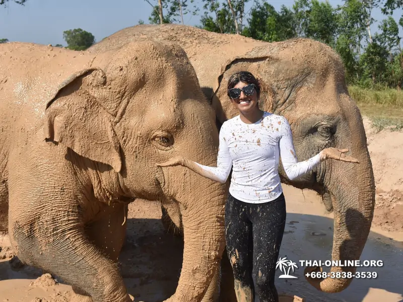 Заповедник слонов Elephant Jungle Sanctuary тур в Паттайе по цене выгоднее Klook Travel и Seven Countries - фото 24