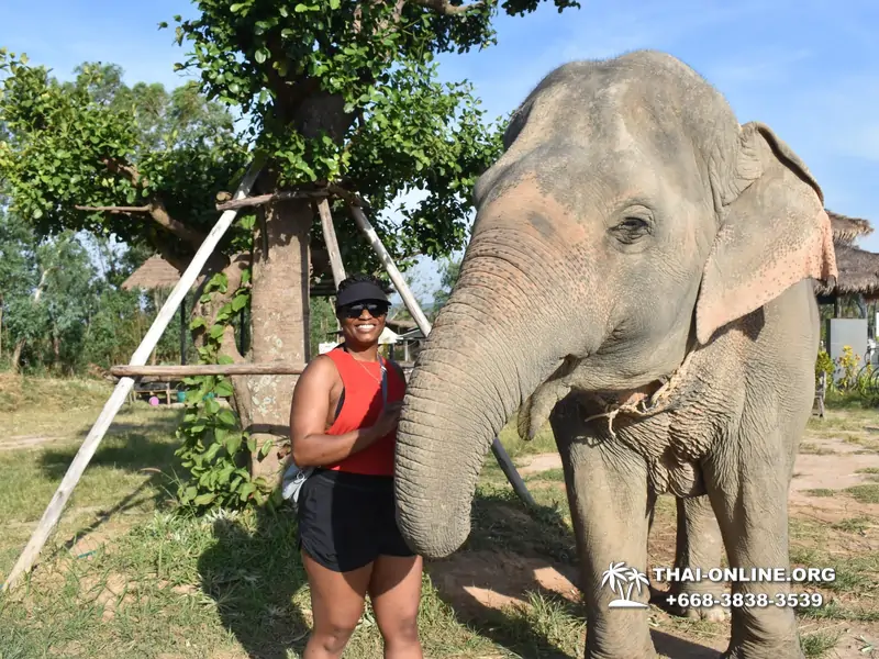Заповедник слонов Elephant Jungle Sanctuary тур в Паттайе по цене выгоднее Klook Travel и Seven Countries - фото 23