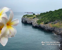 Остров желаний Ко Си Чанг купить экскурсию Паттайя Тайланд - фото 112