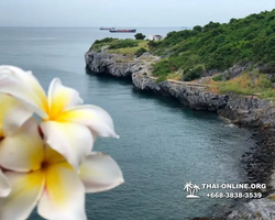 Остров желаний Ко Си Чанг купить экскурсию Паттайя Тайланд - фото 126