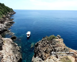 Остров с кроликами Ко Талу купить экскурсию Паттайя Тайланд фото 18
