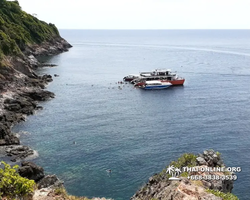 Остров с кроликами Ко Талу купить экскурсию Паттайя Тайланд фото 17