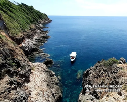 Остров с кроликами Ко Талу купить экскурсию Паттайя Тайланд фото 130