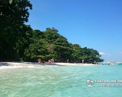 Остров с кроликами Ко Талу купить экскурсию Паттайя Тайланд фото 63