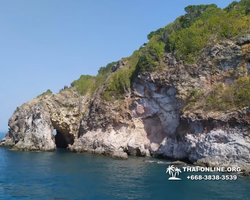Остров с кроликами Ко Талу купить экскурсию Паттайя Тайланд фото 27