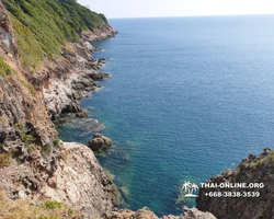 Остров с кроликами Ко Талу купить экскурсию Паттайя Тайланд фото 124