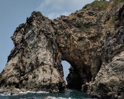 Остров с кроликами Ко Талу купить экскурсию Паттайя Тайланд фото 15