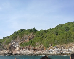 Остров с кроликами Ко Талу купить экскурсию Паттайя Тайланд фото 49