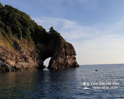 Остров с кроликами Ко Талу купить экскурсию Паттайя Тайланд фото 48