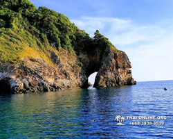 Остров с кроликами Ко Талу купить экскурсию Паттайя Тайланд фото 127