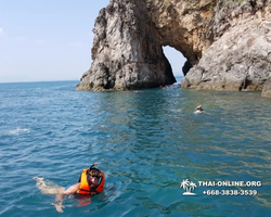 Остров с кроликами Ко Талу купить экскурсию Паттайя Тайланд фото 20