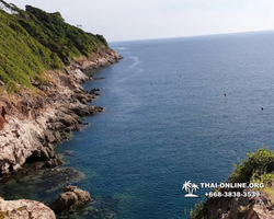 Остров с кроликами Ко Талу купить экскурсию Паттайя Тайланд фото 10