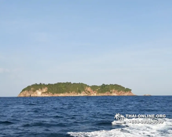 Остров с кроликами Ко Талу купить экскурсию Паттайя Тайланд фото 87